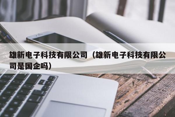 雄新电子科技有限公司（雄新电子科技有限公司是国企吗）