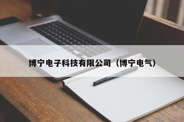 博宁电子科技有限公司（博宁电气）