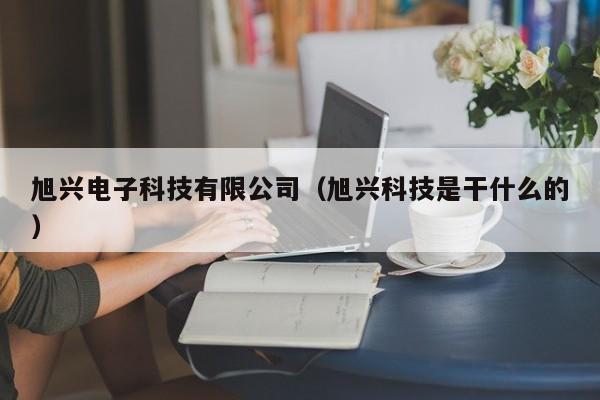 旭兴电子科技有限公司（旭兴科技是干什么的）