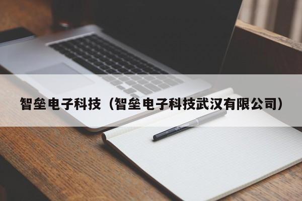 智垒电子科技（智垒电子科技武汉有限公司）