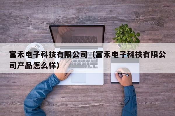 富禾电子科技有限公司（富禾电子科技有限公司产品怎么样）